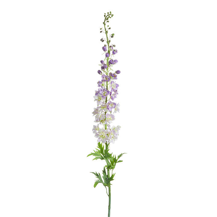 Delphinium Stem | Purple