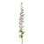 Delphinium Stem | Purple