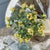 Blooming Buds Bush | Yellow | Clearance BUNDLE