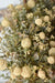 Bliss Fall Wreath | 22"