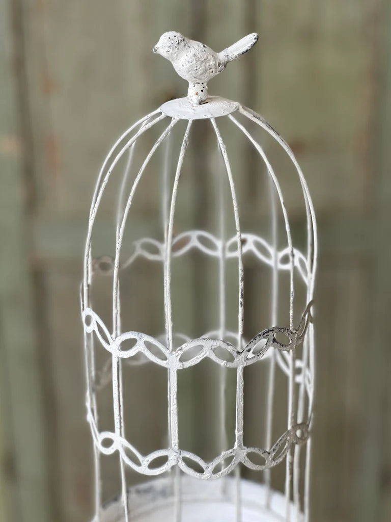 Birdcage Cloche | 17" & 21"