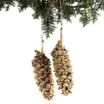 Birdseed | Pinecone Pair