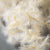Dried Floral Spray | Cream | 23.5"