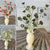 Floret Blooms