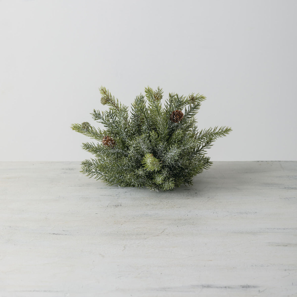 Frosted Spruce Half Sphere | 12&quot;