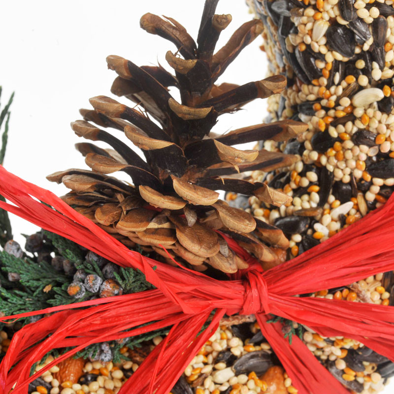 Birdseed | Wildfeast Wreath